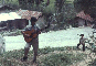 Karambangan musician near Kulawi