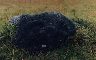 One of the few remaining megaliths in the Napu Valley